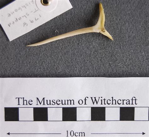The witchcraft fishbone